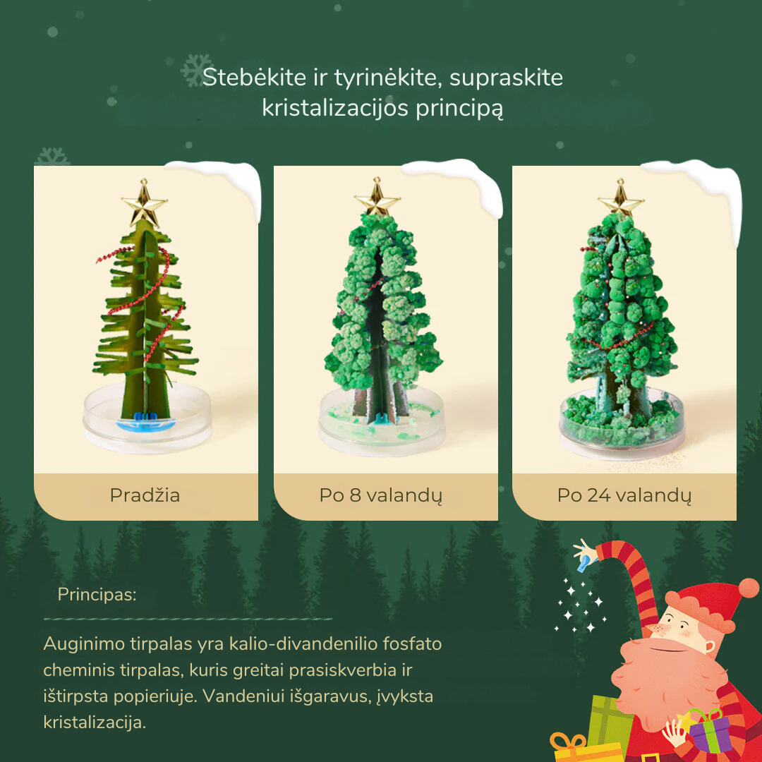Magic Christmas Tree Crystal-Growing Kit